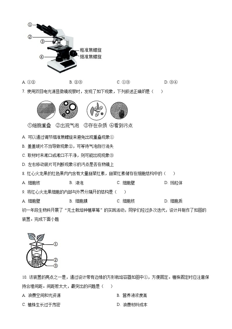 福建省泉州市七年级上学期期末生物试题（原卷版）-A4第2页