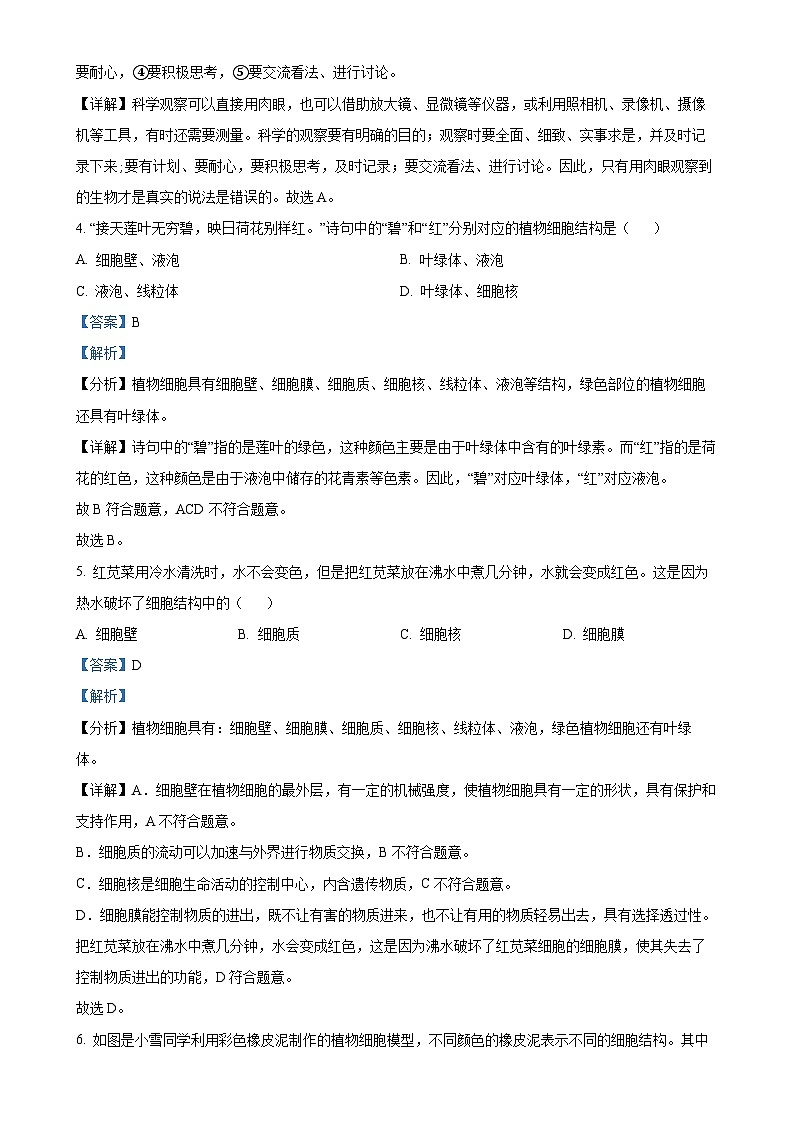 福建省宁德市霞浦县七年级上学期期中生物学试题（解析版）-A4第2页