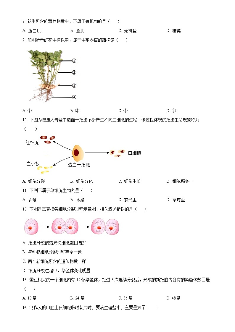 福建省宁德市霞浦县七年级上学期期中生物学试题（原卷版）-A4第2页