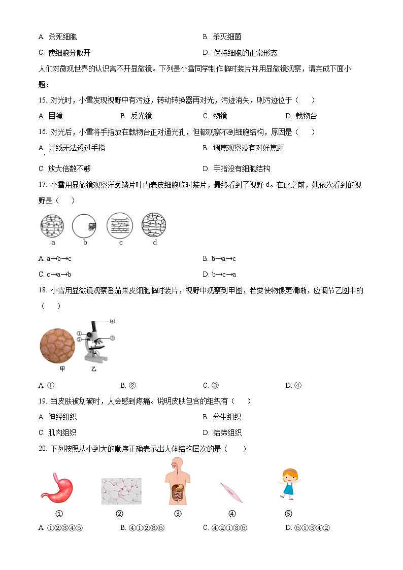 福建省宁德市霞浦县七年级上学期期中生物学试题（原卷版）-A4第3页