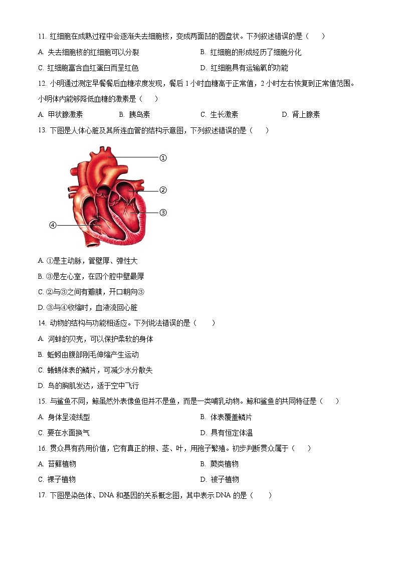 2024年福建省三明市三元区中考一模生物试题（原卷版）-A4第2页