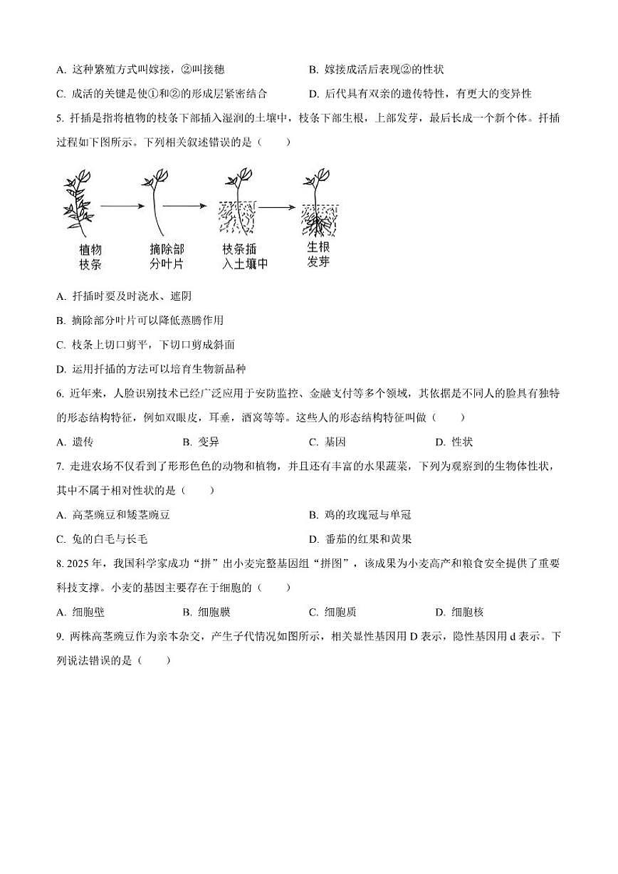 河北省石家庄市外国语学校2025-2026学年八年级上学期第二阶段测试生物试题（含答案）第2页