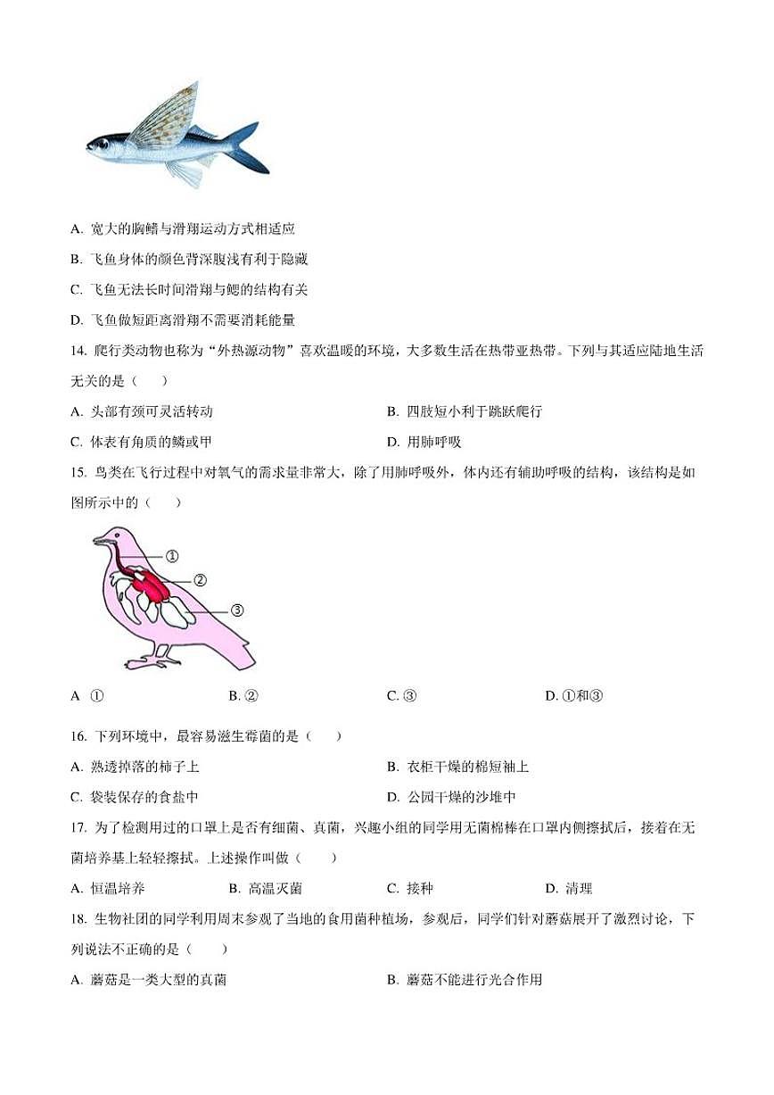 甘肃省临夏州2024-2025学年七年级上学期期末生物学试题（含答案）第3页
