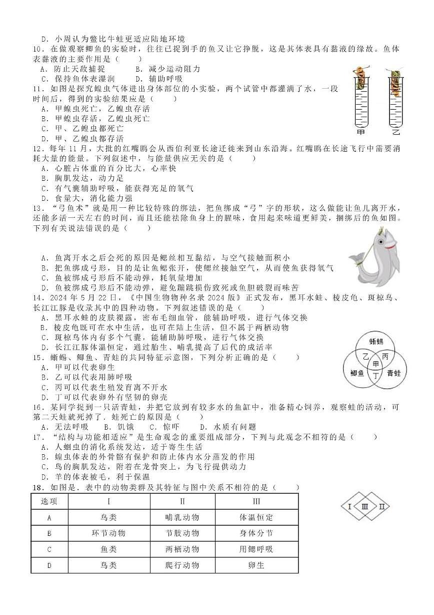 山东省德州市齐河县三校联考2025-2026学年七年级上学期第二次阶段性总结生物试题（月考）第2页