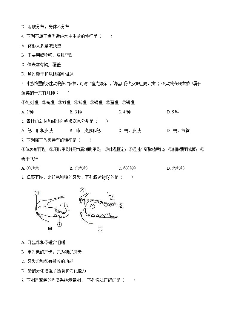 广东省广州市白云区2024-2025学年八年级上学期期末生物试题（含答案）第2页