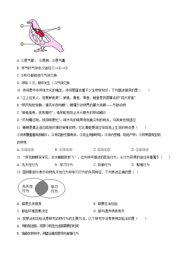 广东省广州市白云区2024-2025学年八年级上学期期末生物试题（含答案）第3页