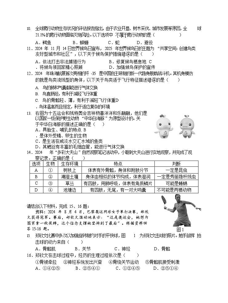 广东省广州市番禺区2024-2025学年八年级上学期期末测试生物试卷（含答案）第2页