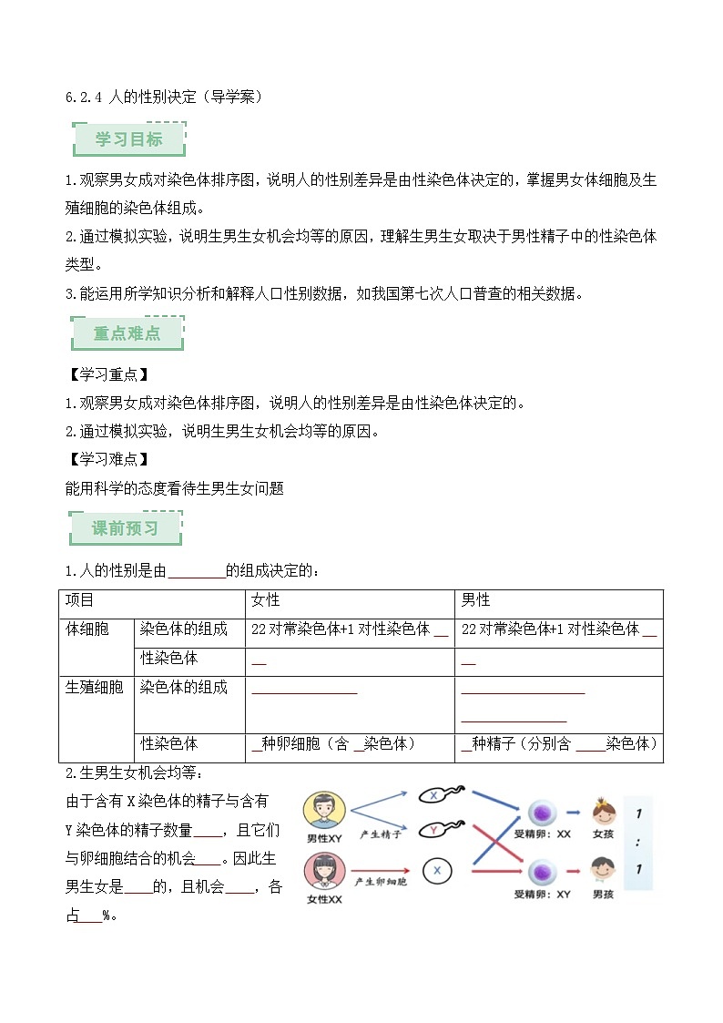 人教版2024初中生物八下6-2-4《人的性别决定》导学案（原卷版）第1页