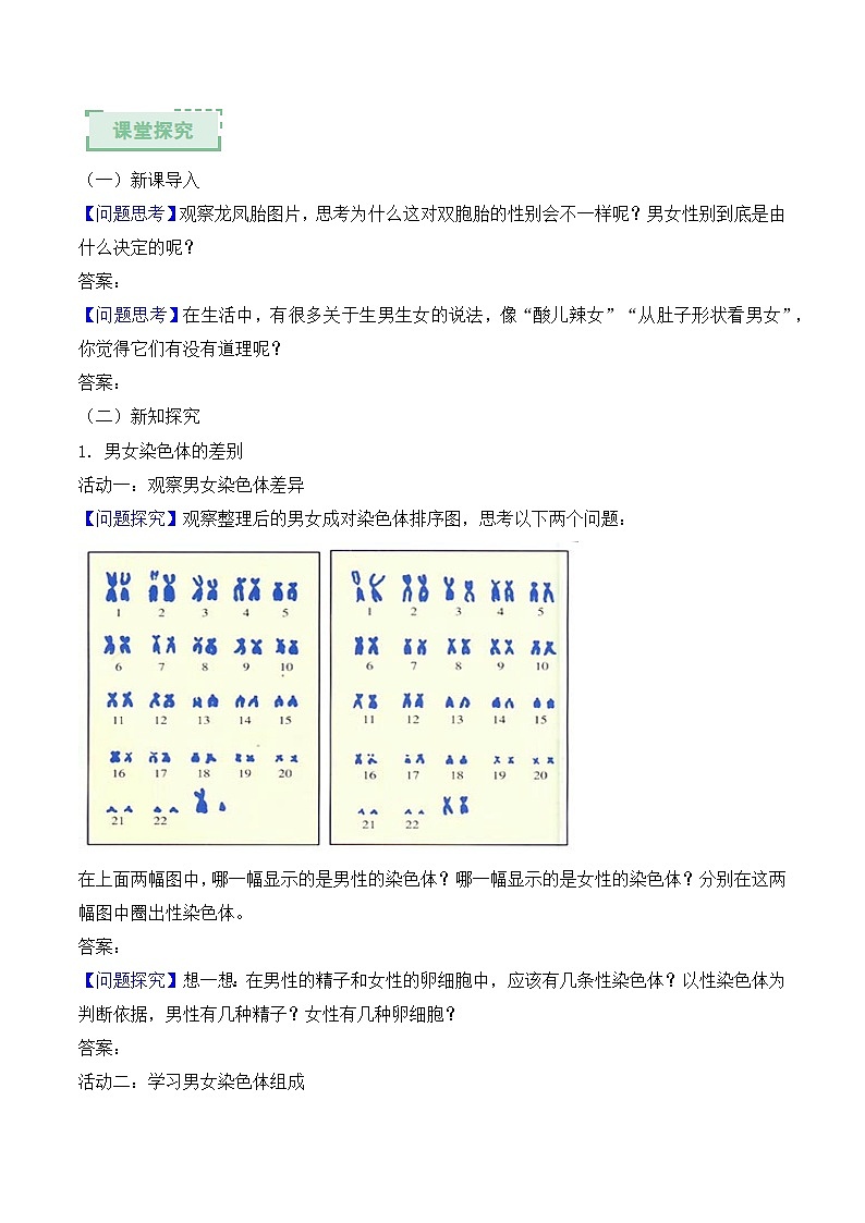 人教版2024初中生物八下6-2-4《人的性别决定》导学案（原卷版）第2页