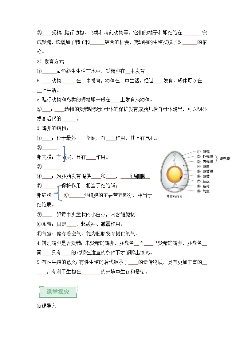 人教版2024初中生物八下6-1-2《有性生殖》导学案（原卷版）第2页