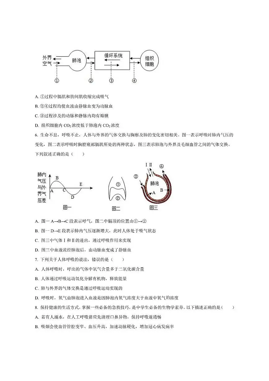 2025-2026学年山东省潍坊市诸城市繁华初级中学八年级上学期12月月考生物试题（有答案）第2页