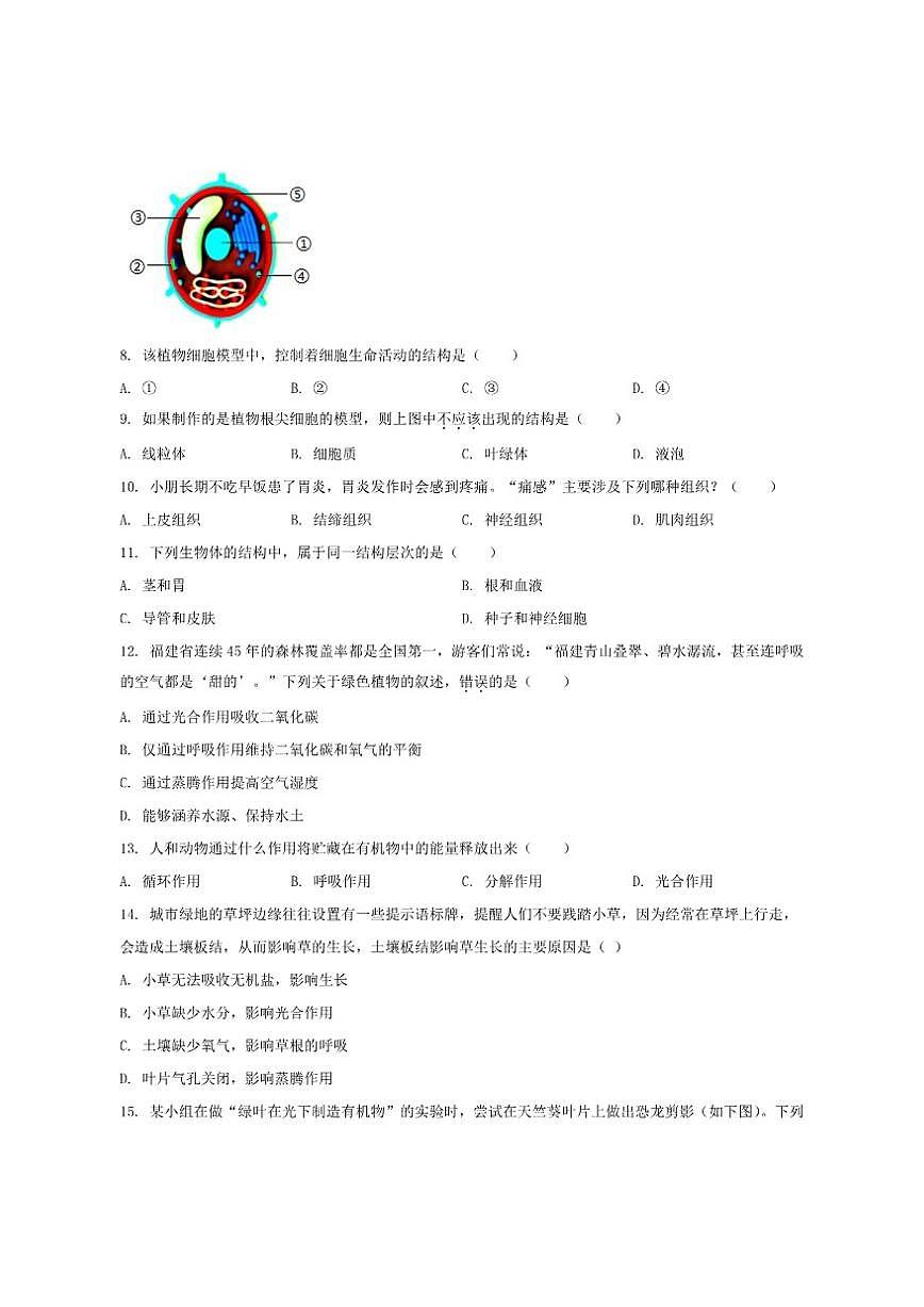2024-2025学年福建省泉州市洛江区七年级上学期期末考试生物试卷（有答案）第3页