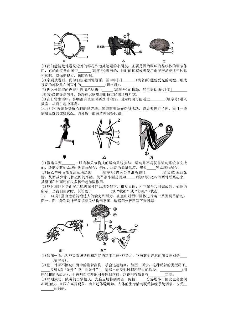 辽宁省大连市中山区2025-2026八年级上生物期末试题（有答案）第2页