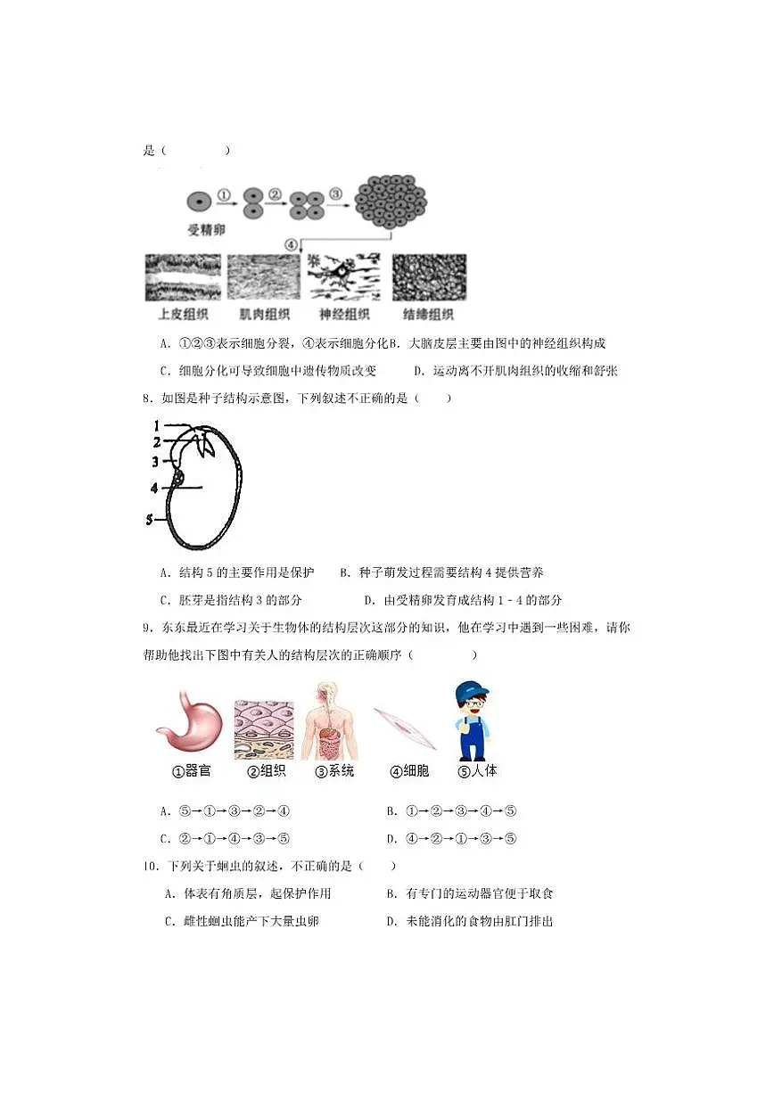 2025-2026学年山东省青岛市市南区青岛超银中学七年级上学期12月月考生物试题（有答案）第2页
