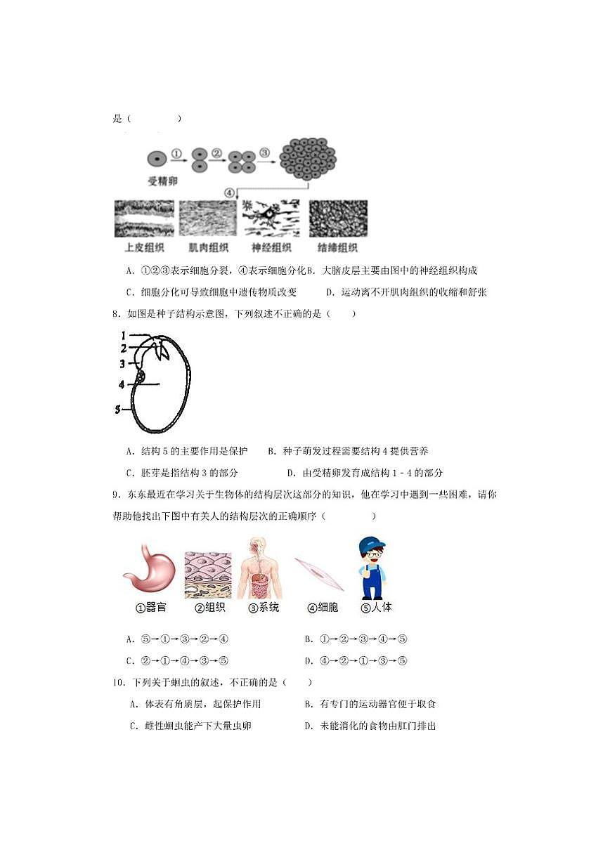 2025-2026学年山东省青岛市市南区青岛超银中学七年级上学期12月月考生物试题（有答案）第2页