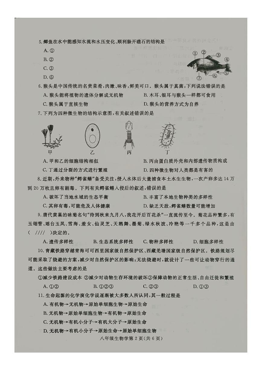2024-2025学年河南省平顶山市鲁山县上学期八年级期中生物学试卷（有答案）第2页