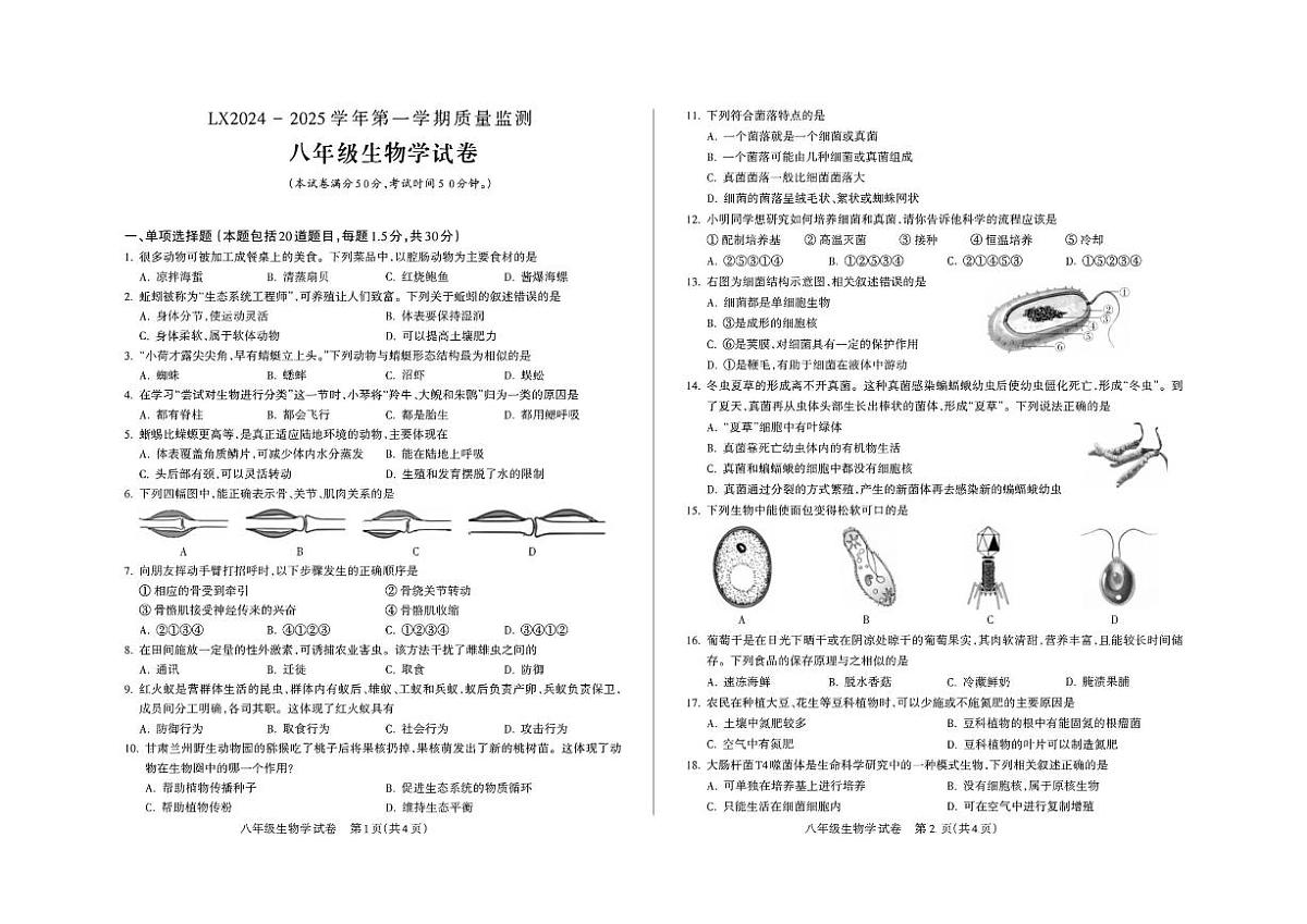 2024-2025学年甘肃省临夏州八年级上学期期末质量监测生物试卷（有答案）第1页