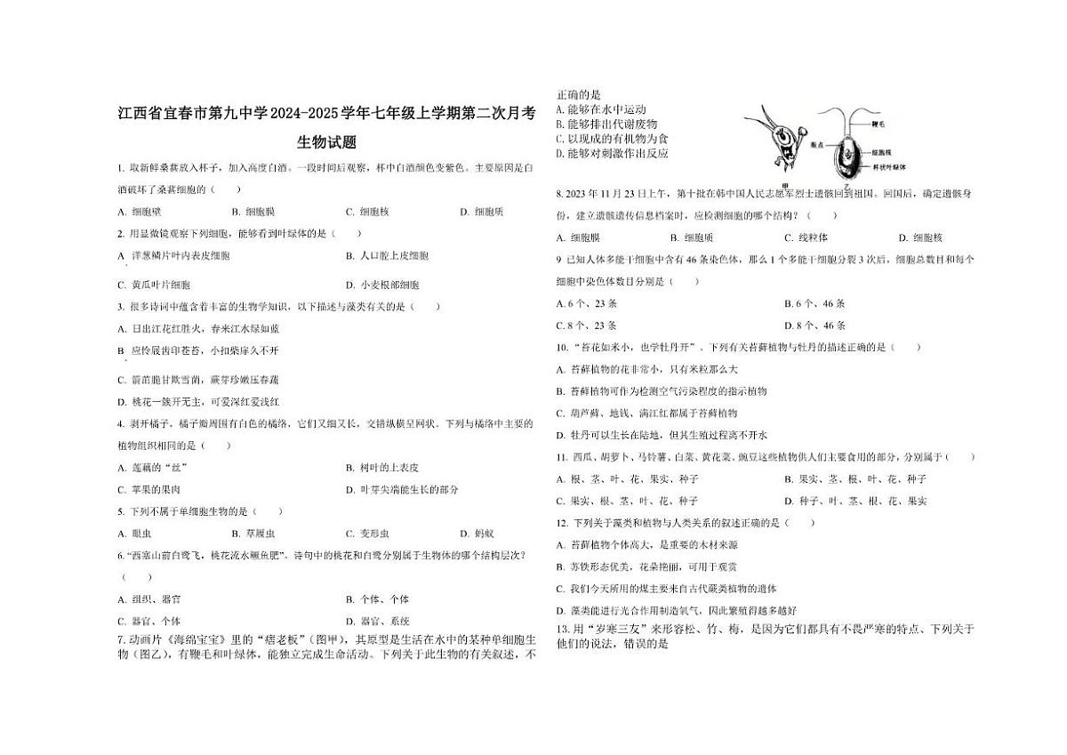 2025-2026学年江西省宜春市第九中学七年级上学期第二次月考生物试题（有答案）第1页