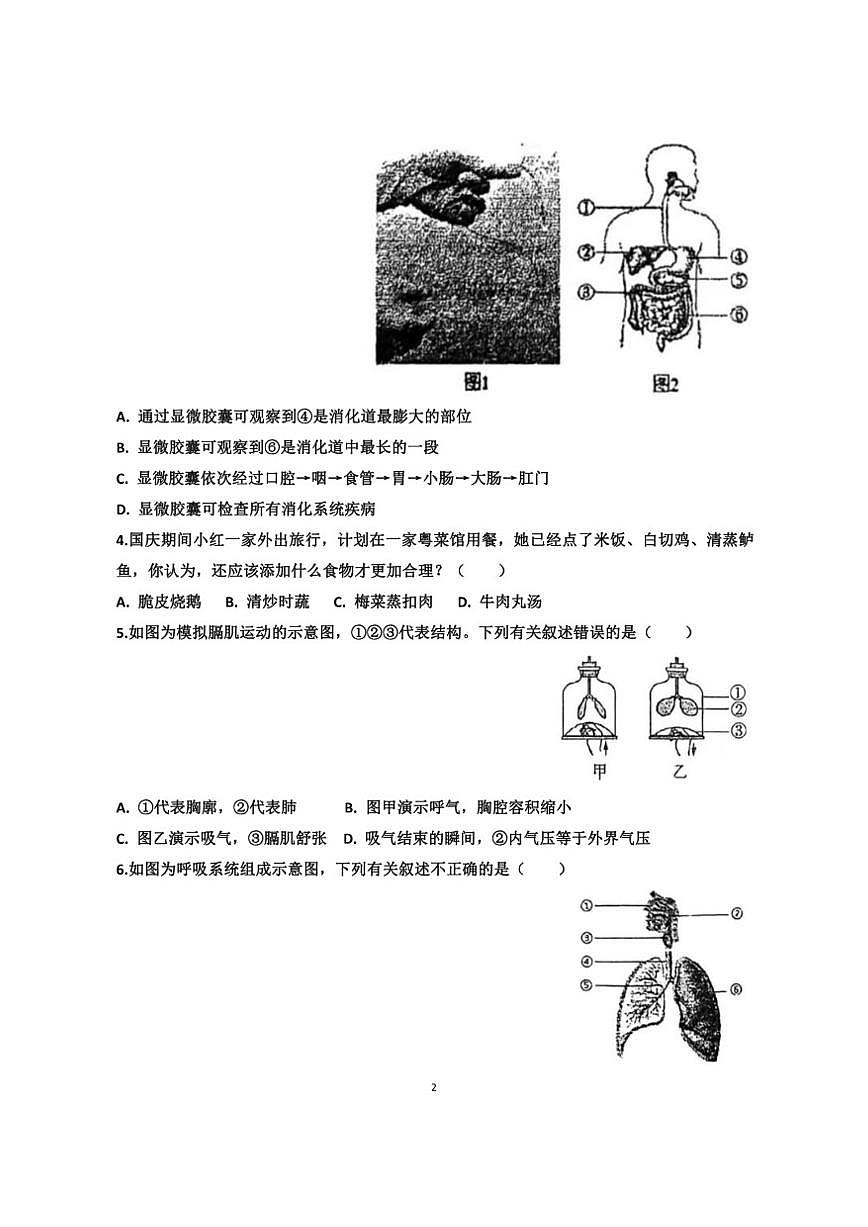 2025~2026学年山东省济南天桥区泺口实验学校八年级上学期12月份生物考试试卷（有答案）第2页