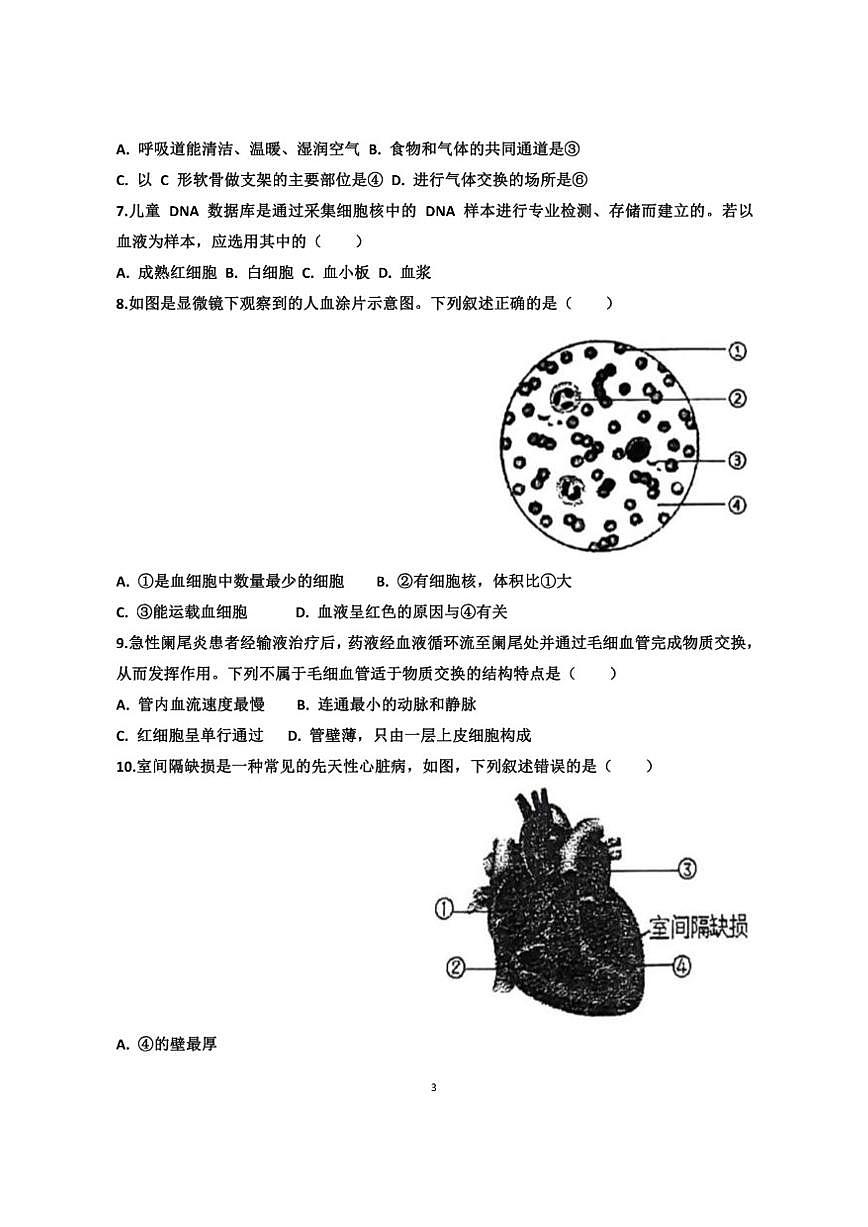 2025~2026学年山东省济南天桥区泺口实验学校八年级上学期12月份生物考试试卷（有答案）第3页