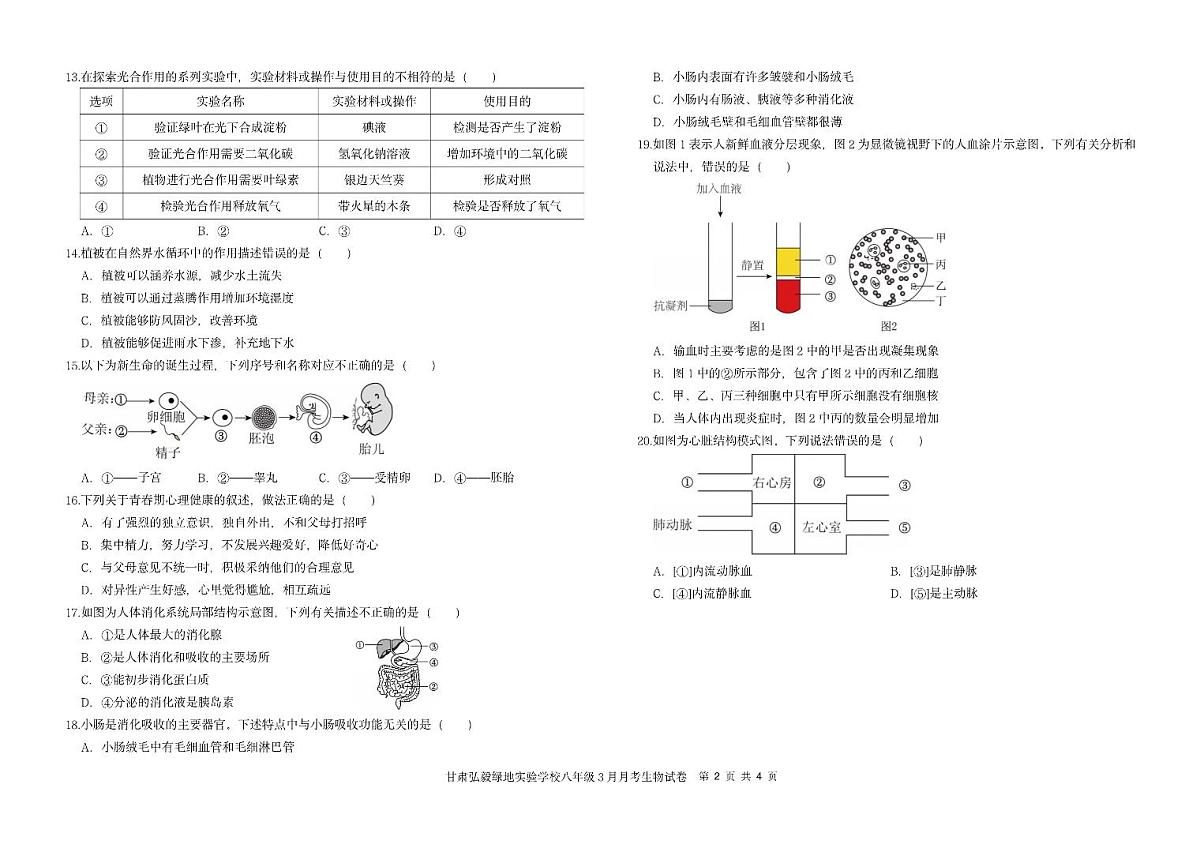 甘肃省兰州市城关区弘毅绿地实验学校 2024-2025学年八年级下学期3月月考生物试题第2页