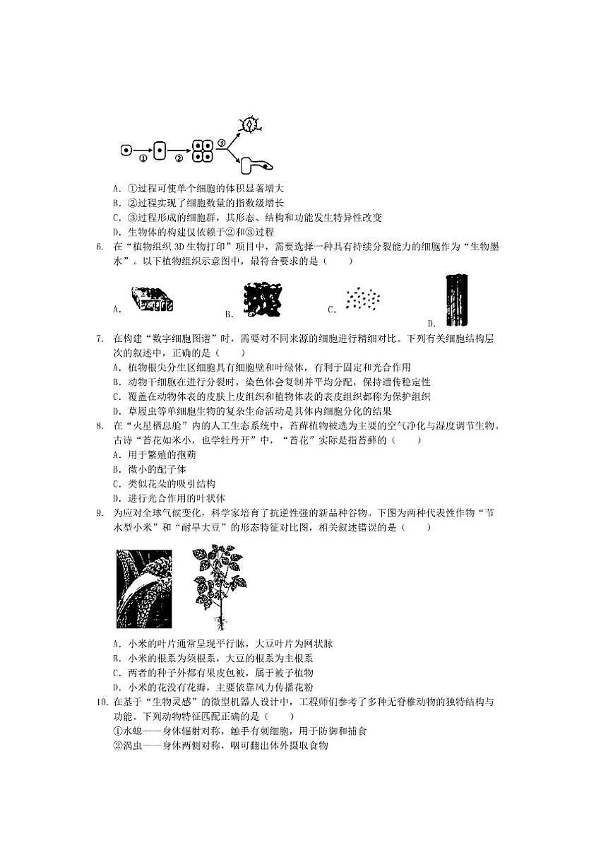 2024-2025学年河南省邓州市汲滩镇七年级上学期生物学第二次月考试题及答案）第2页
