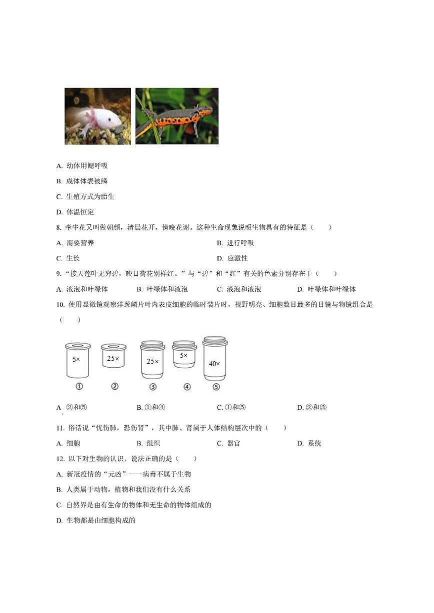 山东省聊城市茌平区振兴中学2025--2026学年七年级上学期第三次月考生物试题（有答案）第2页