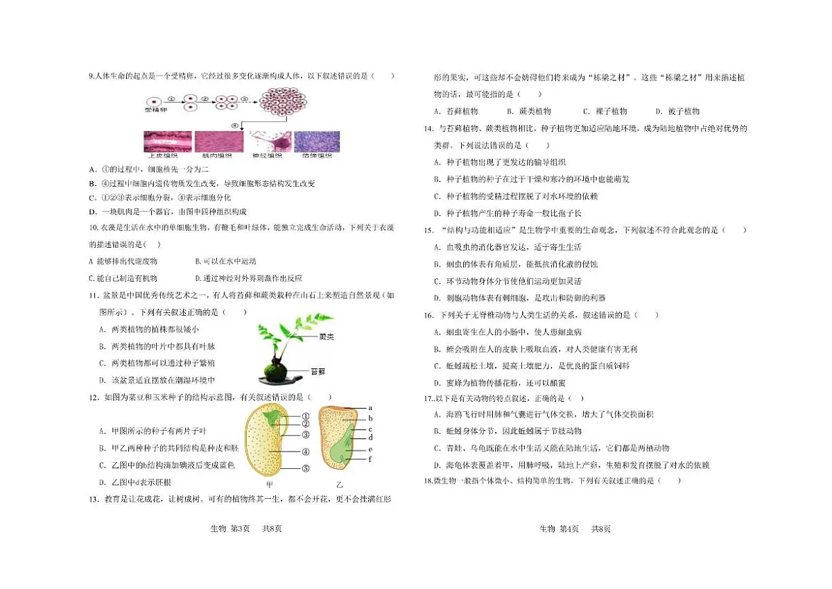 郑州高新一中2025一2026学年第三次月考七年级上生物试卷(闭卷)及答案）第2页
