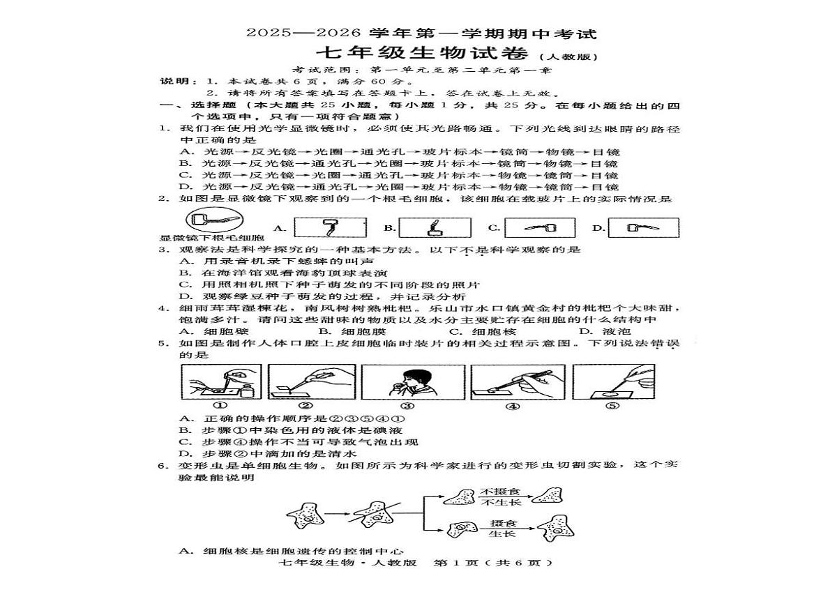河北省沧州市2025-2026学年七年级上学期期中考试生物试题第3页