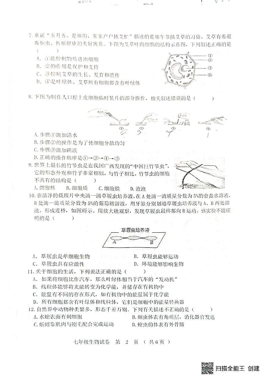 黑龙江省齐齐哈尔市2025--2026学年七年级上学期期末生物试题第2页
