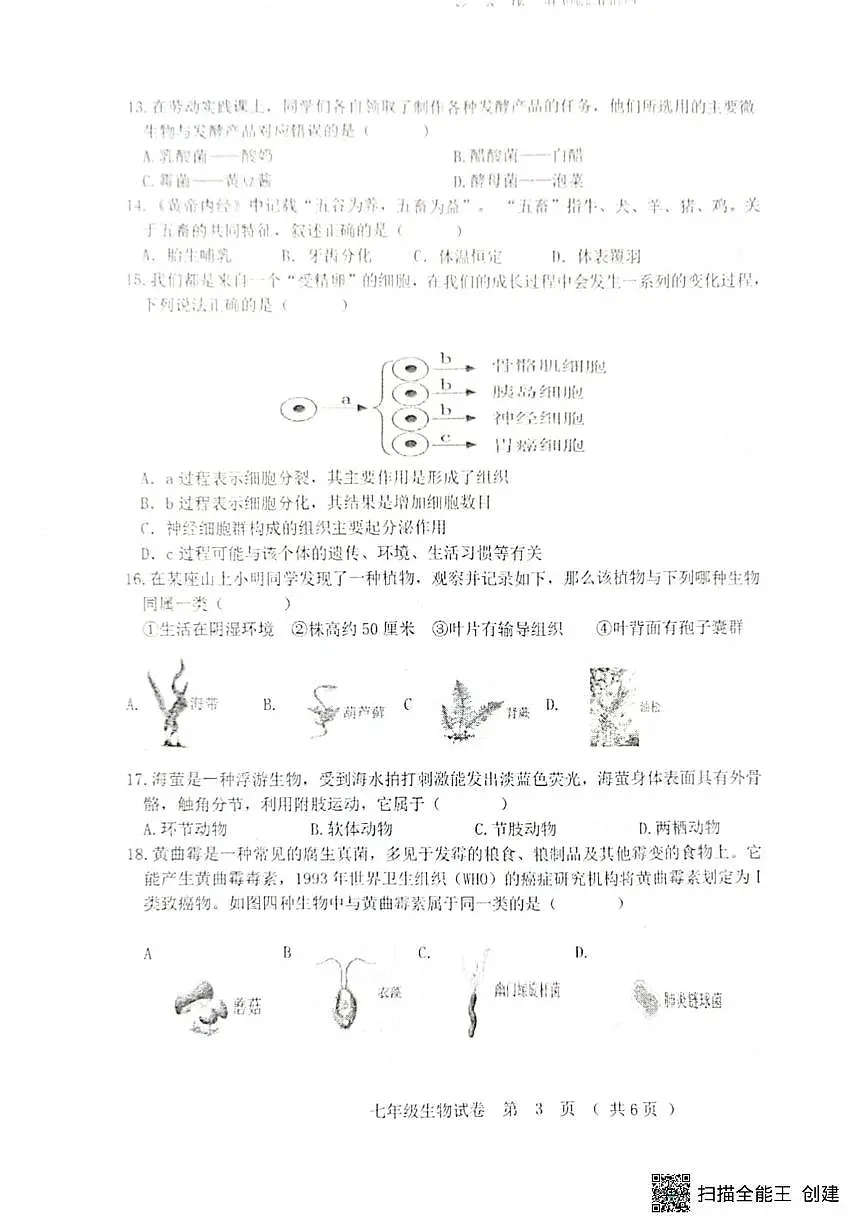 黑龙江省齐齐哈尔市2025--2026学年七年级上学期期末生物试题第3页
