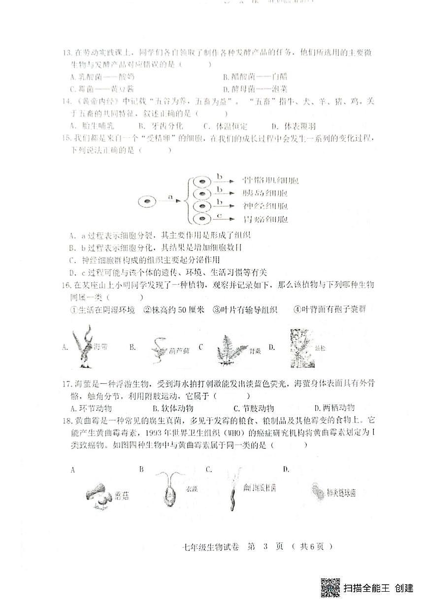 黑龙江省齐齐哈尔市2025--2026学年七年级上学期期末生物试题第3页