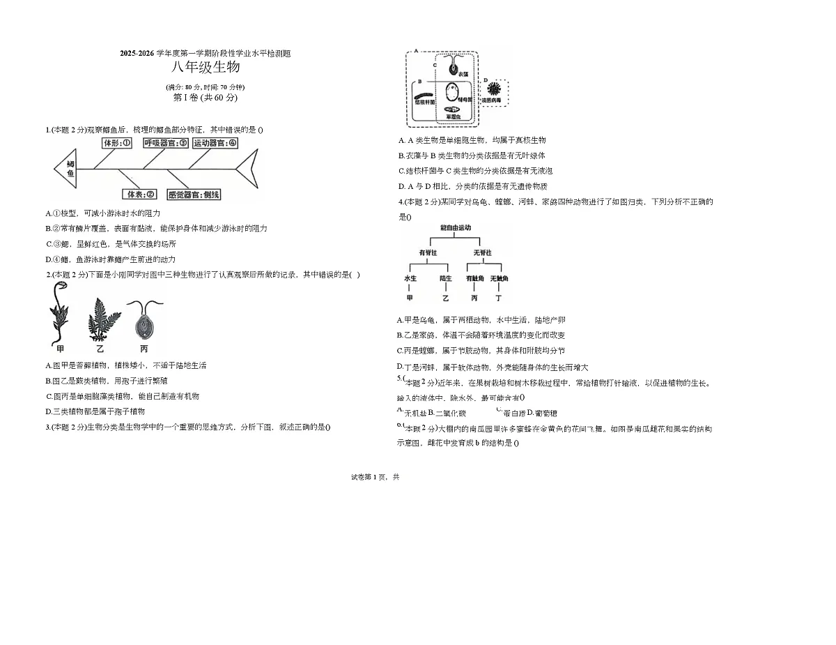 山东省青岛市城阳区第十三中学2025-2026学年八年级上学期1月期末生物试题第1页