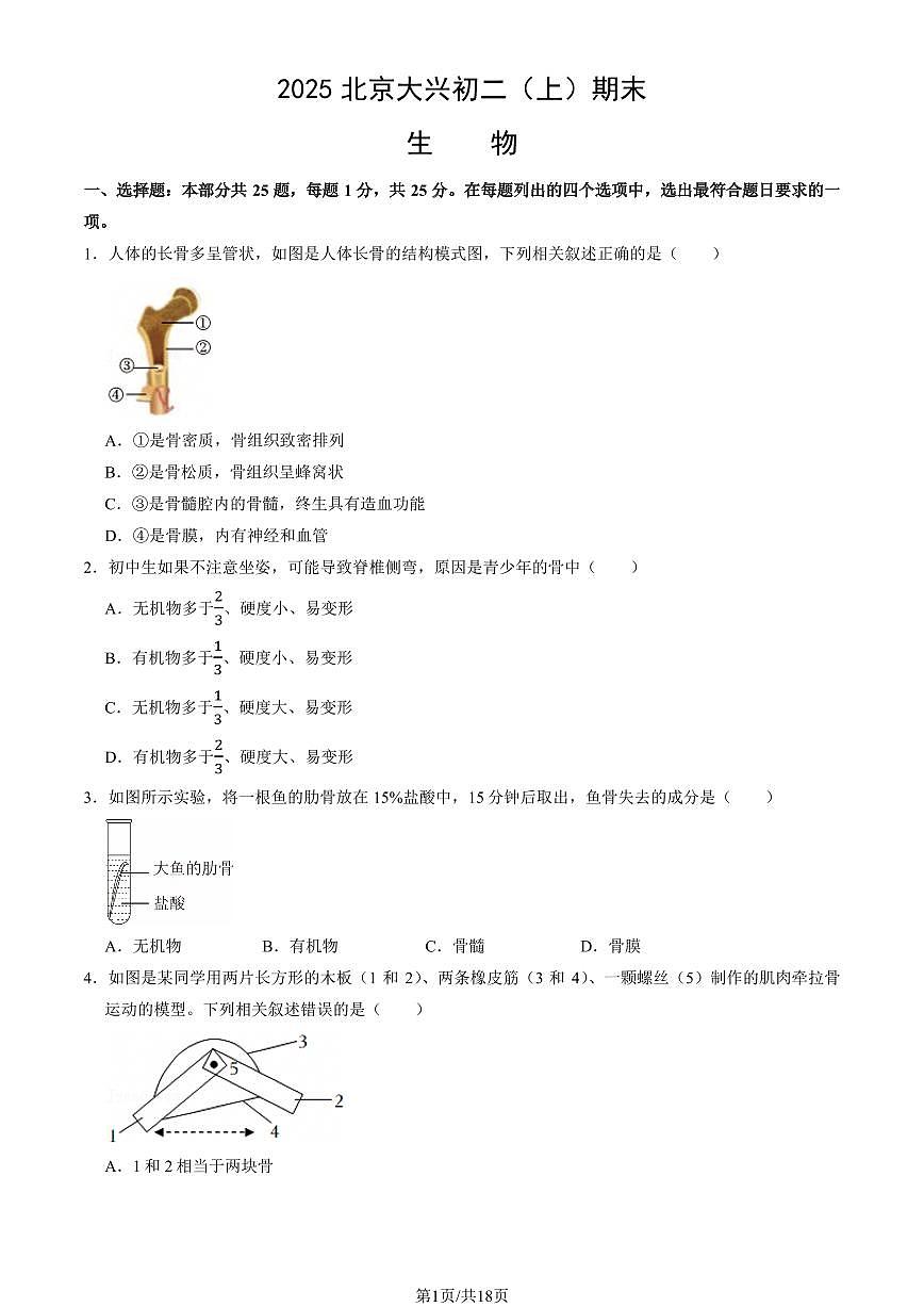 2025北京大兴初二（上）期末生物试卷（教师版）第1页