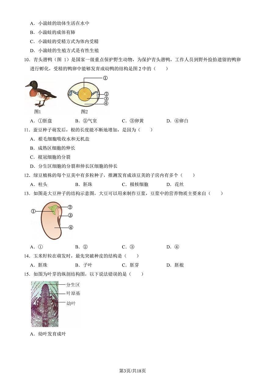 2025北京大兴初二（上）期末生物试卷（教师版）第3页