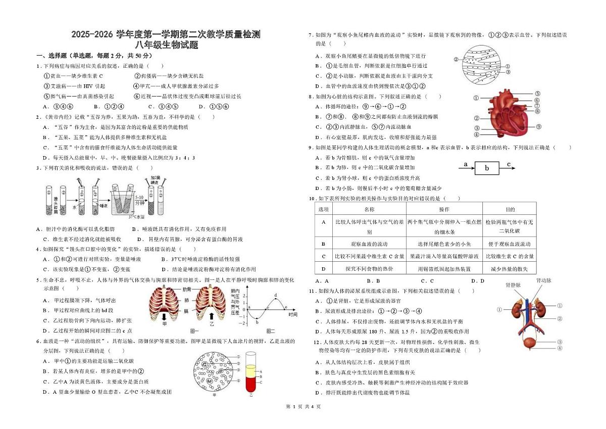 山东省滨州市滨城区北镇中学实验初中部2025-2026学年八年级上学期第二次月考生物试题第1页