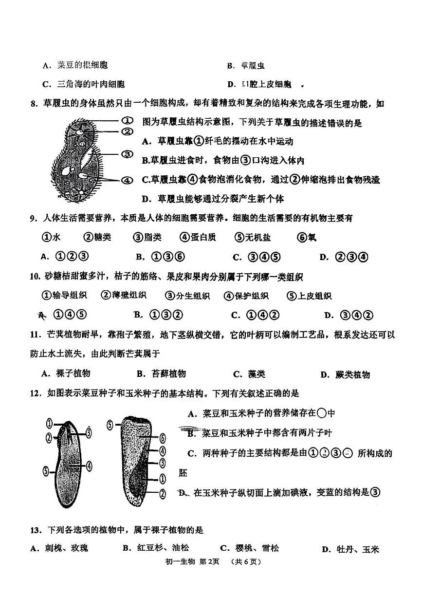 吉林省松原市宁江区油田第十二中学2025-2026学年七年级上学期1月期末生物试题第2页