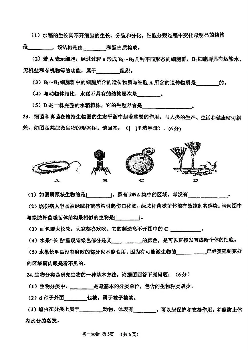 吉林省松原市宁江区油田第十二中学2025-2026学年七年级上学期1月期末生物试题第3页
