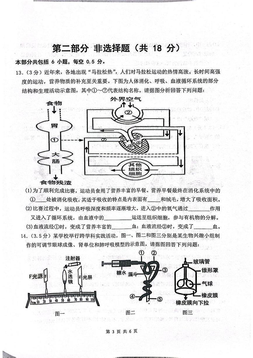 辽宁省沈阳市铁西区2025-2026学年八年级上学期期末生物试卷第3页
