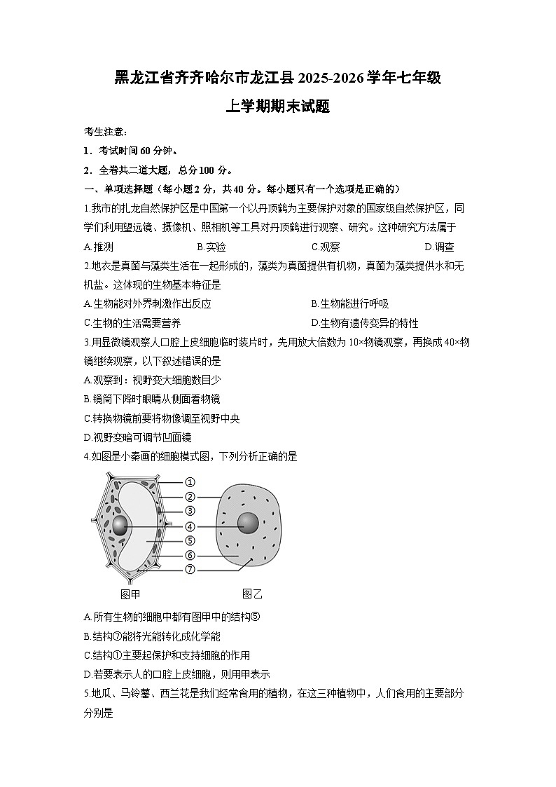 2025-2026学年黑龙江省齐齐哈尔市龙江县七年级上学期期末生物试卷（学生版）第1页