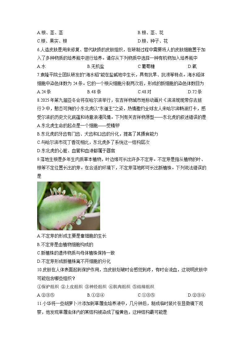 2025-2026学年黑龙江省齐齐哈尔市龙江县七年级上学期期末生物试卷（学生版）第2页