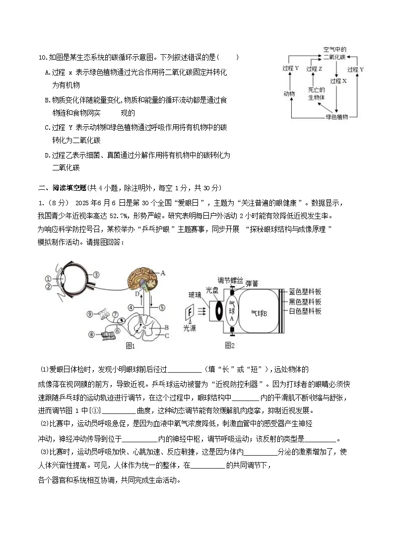 八年级上册生物期末复习训练题（含答案解析）第3页