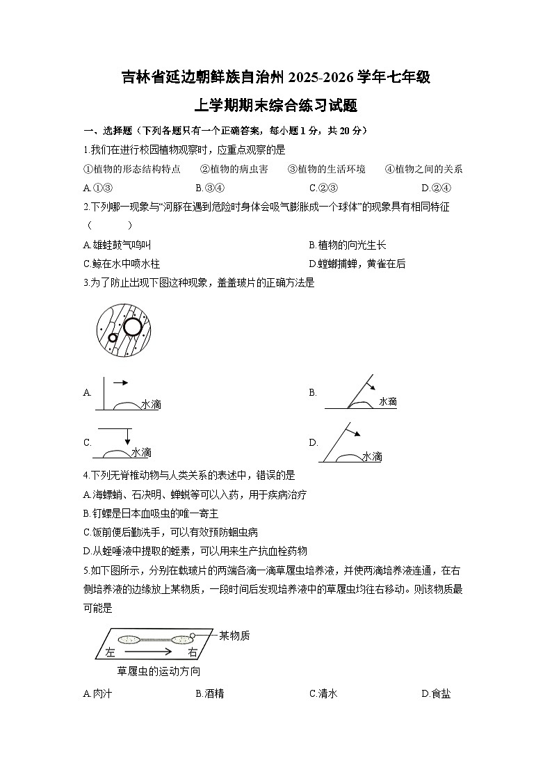 2025-2026学年吉林省延边朝鲜族自治州七年级上学期期末综合练习生物试卷（学生版）第1页