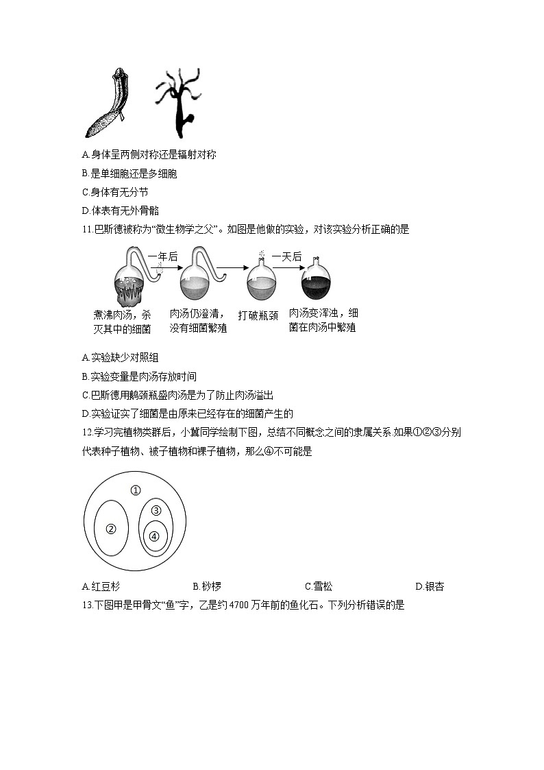 2025-2026学年吉林省延边朝鲜族自治州七年级上学期期末综合练习生物试卷（学生版）第3页