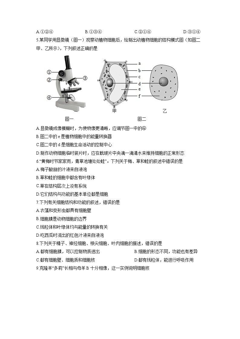 2025-2026学年云南省腾冲市七年级上学期期末综合练习生物试卷（学生版）第2页