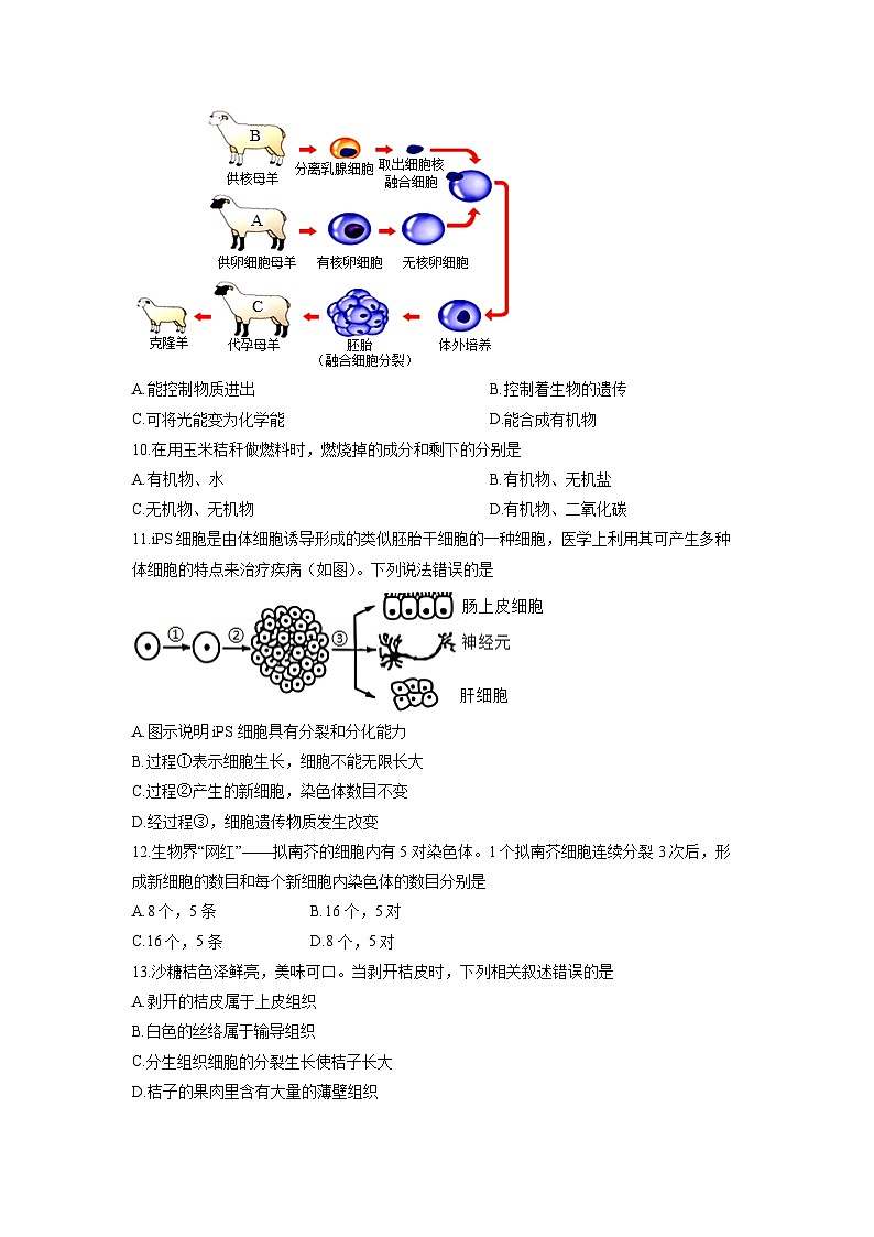 2025-2026学年云南省腾冲市七年级上学期期末综合练习生物试卷（学生版）第3页