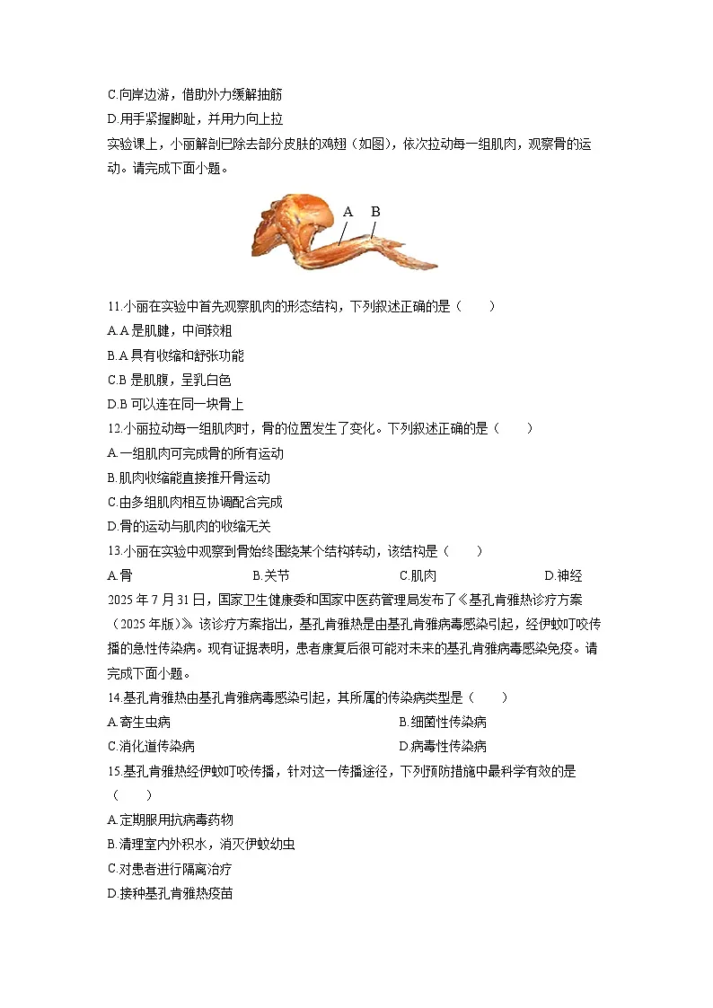 2025-2026学年江西省上饶市八年级上学期期中生物试卷（学生版）第3页
