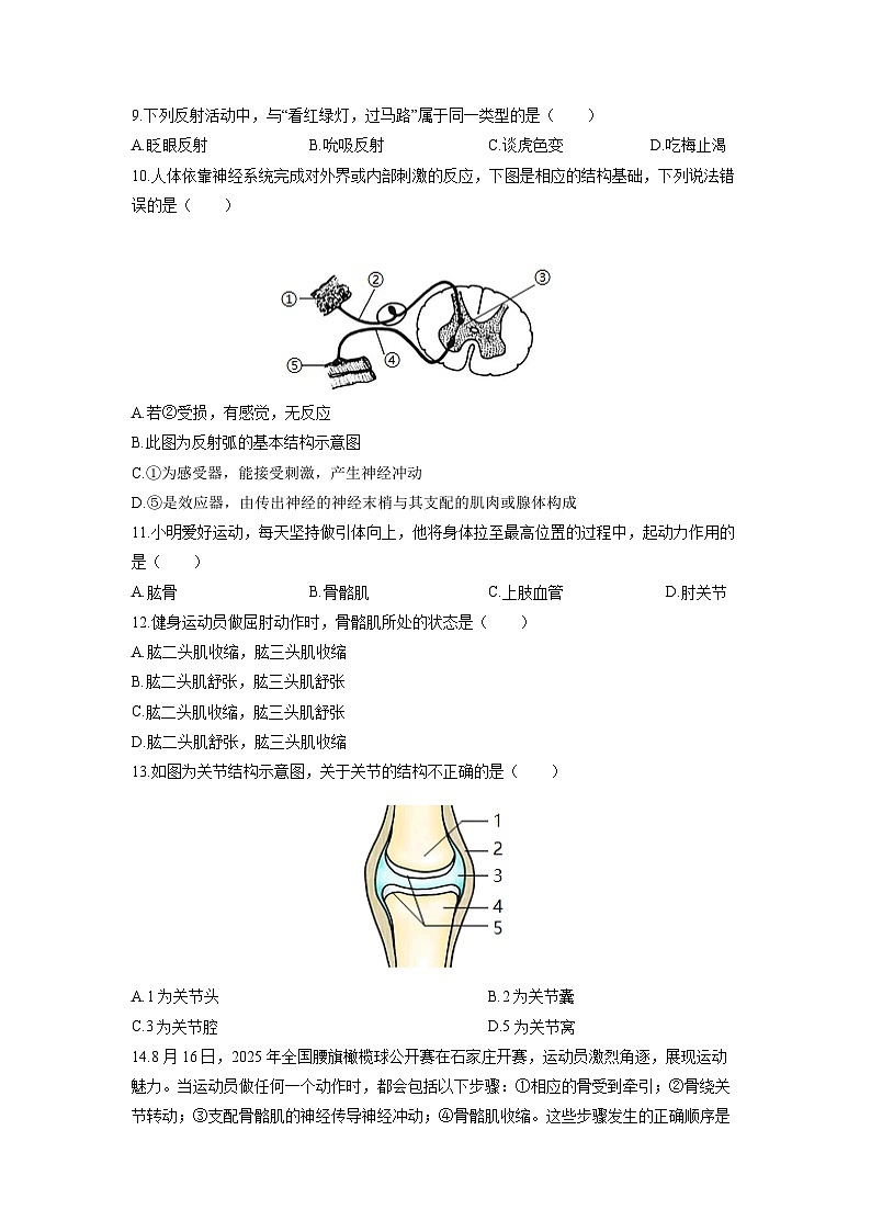 2025-2026学年广东省东莞市八年级上学期期中生物试卷（学生版）第2页