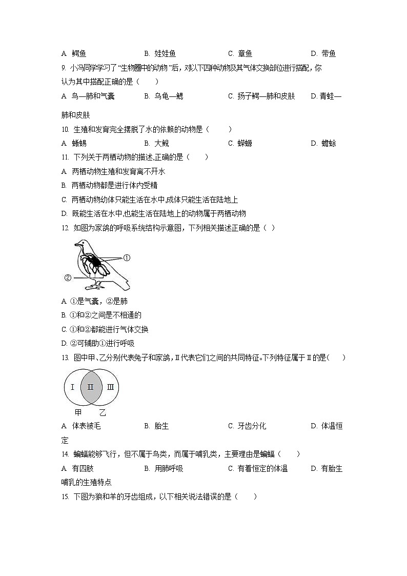 2022-2023学年广东省广州市花都区黄广中学八年级上学期期末生物试题（含答案）第2页