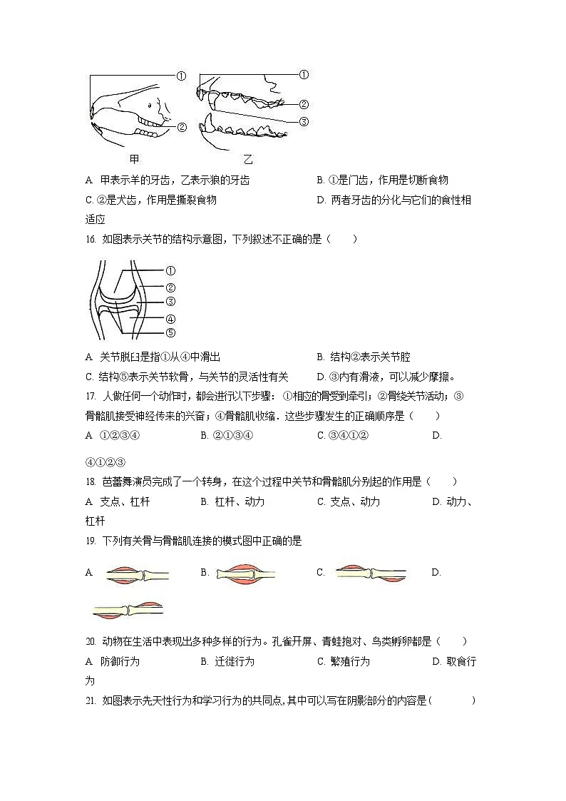 2022-2023学年广东省广州市花都区黄广中学八年级上学期期末生物试题（含答案）第3页